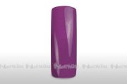 Wet Look Colorgel 5 ml - purple - NO TACKY LAYER 