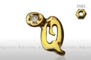 Initial mit Cirkonia, 14 KT. Echtgold - Q