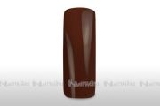 Wet Look Colorgel 5 ml - brown - NO TACKY LAYER 
