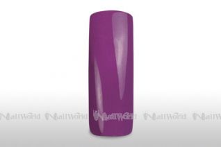 Wet Look Colorgel 5 ml - purple - NO TACKY LAYER 