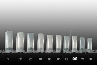 Precision Tips - Nachfllung 50 Stk.- Gr. 8