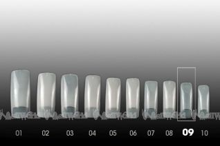 Precision Tips - Nachfllung 50 Stk.- Gr. 9